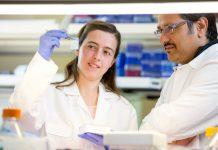 Los investigadores confirman que en el Parkinson, un interruptor molecular defectuoso desencadena la degeneración de las neuronas