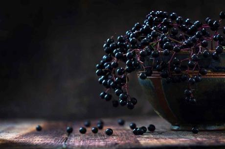 MAQUI BERRY, LA REINA ANTIOXIDANTE MAQUI BERRY, LA REINA ANTIOXIDANTE