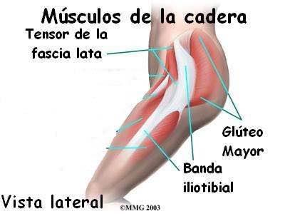 ¿Dolor en las rodillas? Te explicamos a fondo