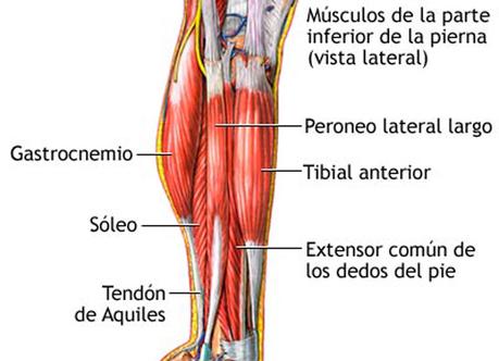 ¿Dolor en las rodillas? Te explicamos a fondo