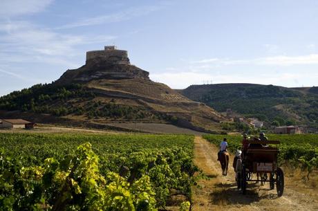 España y sus rutas del vino