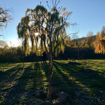 Donde se oculta el sol (Homenaje)