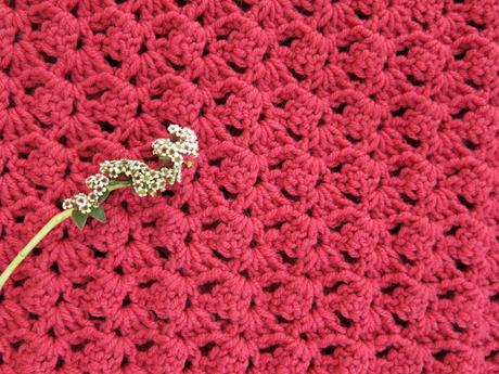 Cuello Coral Cuello Coral