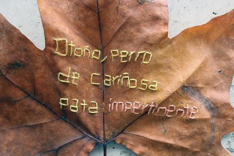 Trasueños de otoño Trasueños de otoño