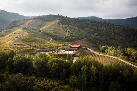 Perinet Wines, del Priorat a Estados Unidos. Perinet Wines, del Priorat a Estados Unidos.
