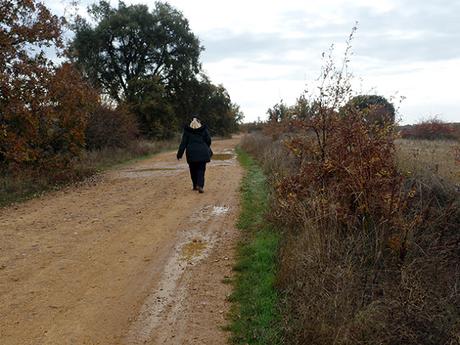 Sembrando el Camino de Santiago, novena edición, 2018.