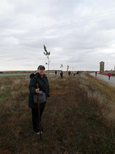 Sembrando el Camino de Santiago, novena edición, 2018.