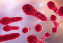 ¿Cuál es el tratamiento para Clostridium difficile?