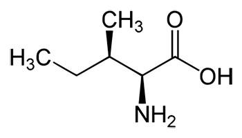 Composición química de la isoleucina