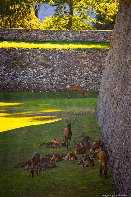España, Aragón, Huesca, Jaca, Ciudadela de Jaca