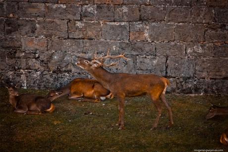 España, Aragón, Huesca, Jaca, Ciudadela de Jaca