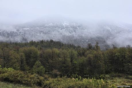 Nieve en el Chapelco