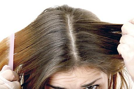 Cómo tratar el cabello raíz grasa puntas secas