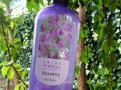 Lotus vinegar shampoo Missha, champú flor loto vinagre cosmética coreana