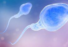 Color del esperma: ¿Cómo debería verse su semen y cómo puede saber si su eyaculación es anormal?