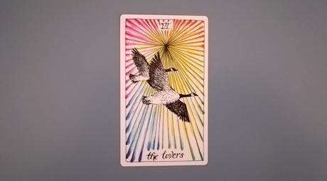 Los Enamorados en The Wild Unknown los-enamorados-tarot