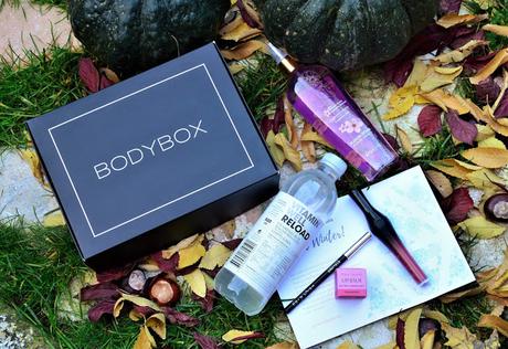 BODYBOX NOVIEMBRE | OH WINTER!