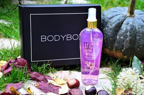 BODYBOX NOVIEMBRE | OH WINTER!