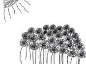 flores”, rupi kaur