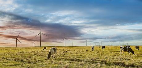 ACCIONA REVALIDA POR CUARTO AÑO SU POSICIÓN COMO COMPAÑÍA ELÉCTRICA MÁS VERDE DEL MUNDO