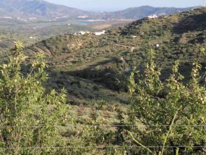 Enoturismo en España: regiones vitivinícolas ibéricas