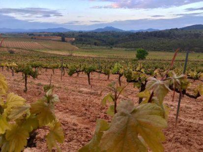 Enoturismo en España: regiones vitivinícolas ibéricas