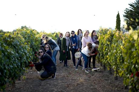 Experiencia Vendimia Chic 2018 gracias a Esdor