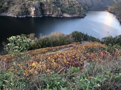 Viajar: Ribeira Sacra. Escapada para 2 en 3 días. Viajar: Ribeira Sacra. Escapada para 2 en 3 días.