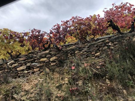 Viajar: Ribeira Sacra. Escapada para 2 en 3 días. Viajar: Ribeira Sacra. Escapada para 2 en 3 días.