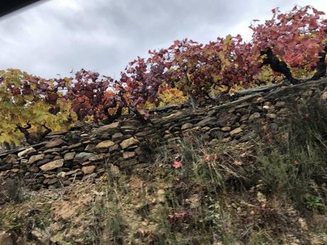 Viajar: Ribeira Sacra. Escapada para 2 en 3 días.