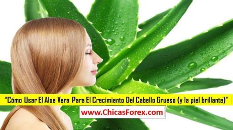 Cómo usar el Aloe Vera para el crecimiento del cabello grueso (y la piel brillante)