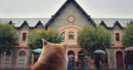 Este bonito anuncio reinterpreta la historia del perro Hachikō con un final feliz