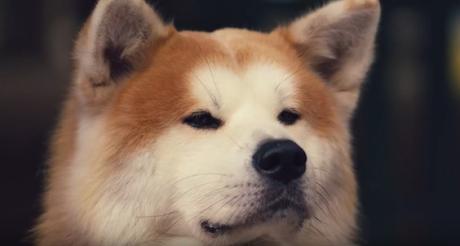Este bonito anuncio reinterpreta la historia del perro Hachikō con un final feliz