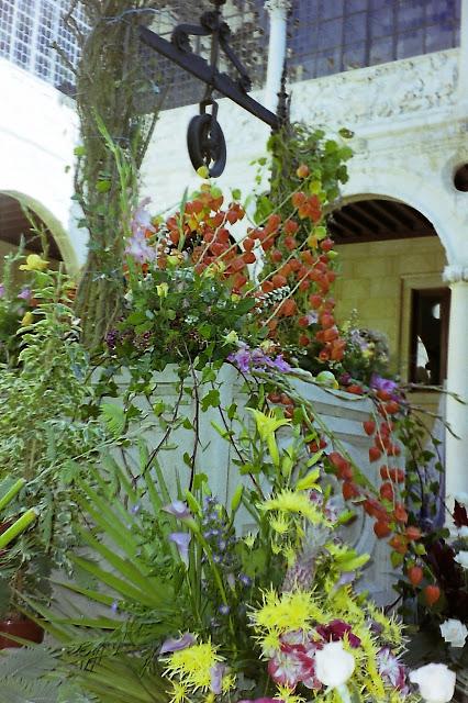 Ignorados fractales.