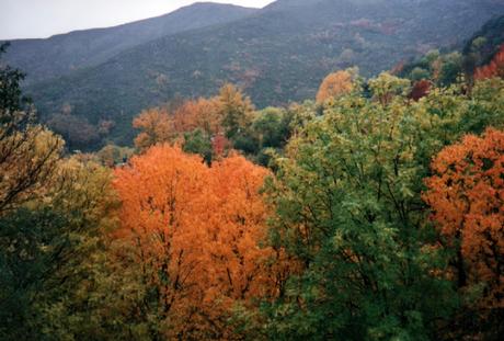Ignorados fractales.