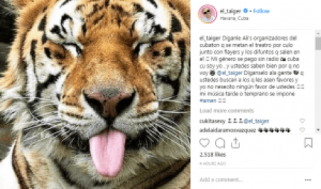 El Taiger estalla en las redes en contra de otros reguetoneros y los organizadores del Cubatonazo