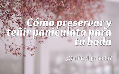 Cómo preservar y teñir paniculata para tu boda