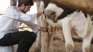 Que Es Un Político…? :) Que Es Un Político…? :)