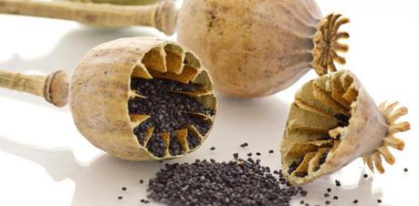 Resultado de imagen para la morfina