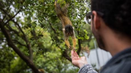Los mejores 9 lugares para amantes de los animales en Israel