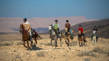 Los mejores 9 lugares para amantes de los animales en Israel