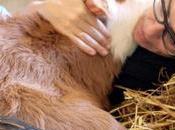 mejores lugares para amantes animales Israel