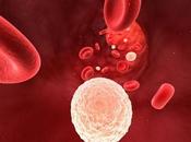 ¿Qué indican altos niveles células blancas sangre?