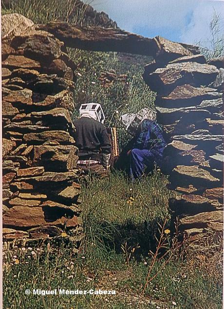 Un relato breve: Colmeneros en 1486