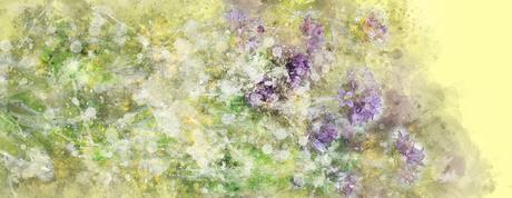pixabai.com flowers