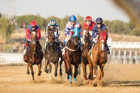 Deportes, caballos y ocio para una jornada de carreras Deportes, caballos y ocio para una jornada de carreras