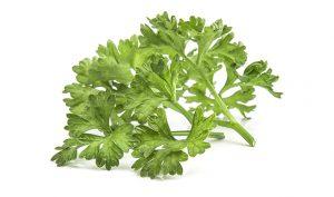 Cómo curar los eccemas con perejil y miel - Trucos de salud caseros