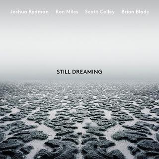 JOSHUA REDMAN: Still Waiting