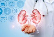 Efectos de la cicatrización en los riñones (glomeruloesclerosis)