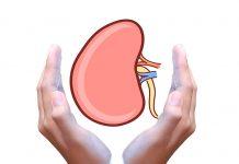 Esto es lo que realmente podría suceder cuando sostienes tu pis demasiado tiempo